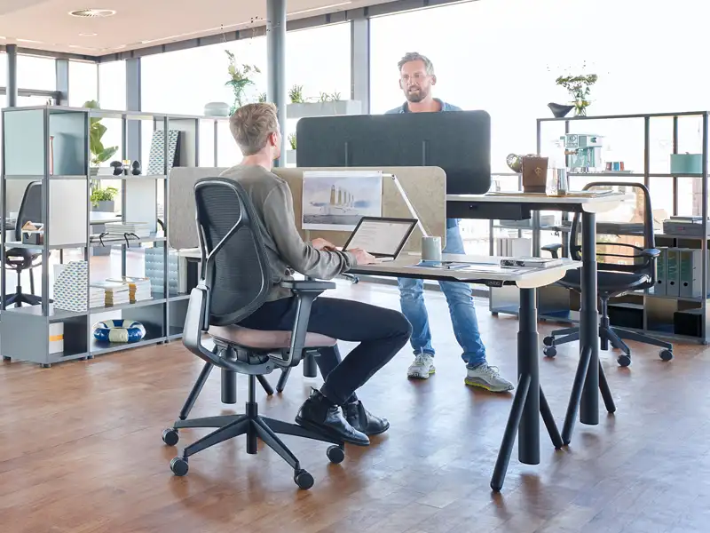 Height-Adjustable Office Desks Modern height-adjustable office desks with dividing screens in contemporary workspace