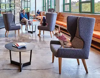 Hush lounge chair