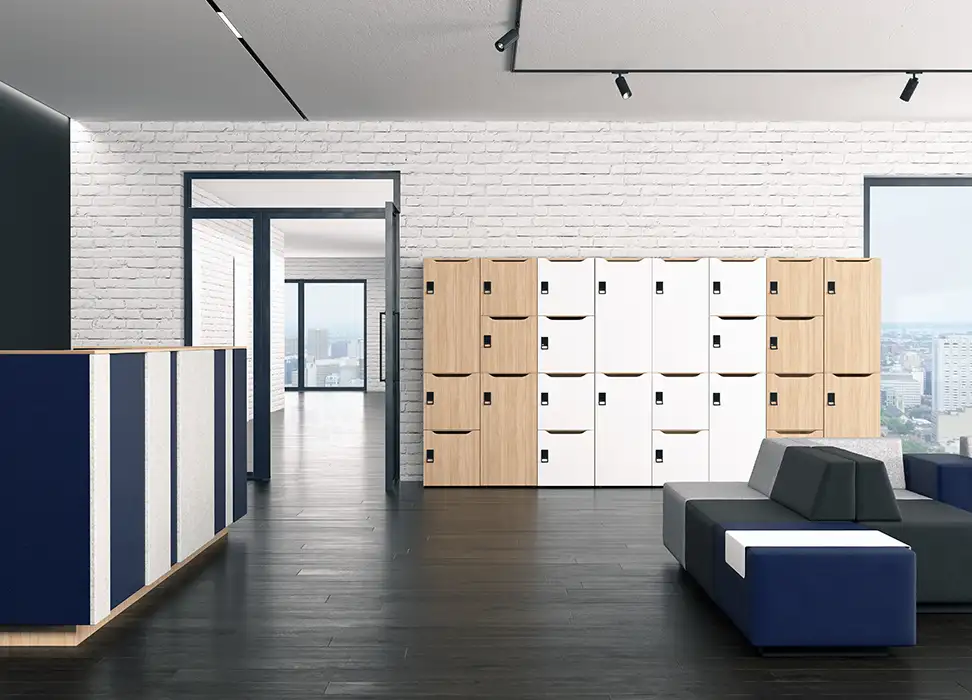 Locker Wall Storage with postal slots